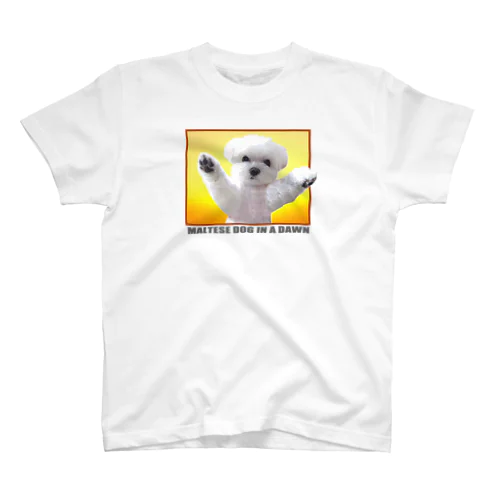 夜明けのマルチーズ おもしろ子犬グッズシリーズ（ Cute and cool puppy. ） Regular Fit T-Shirt