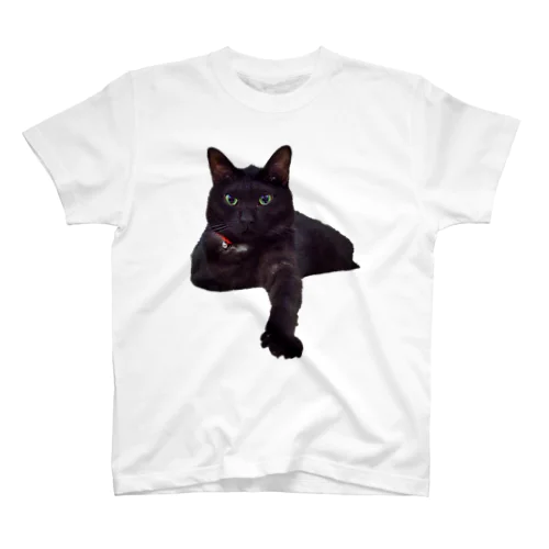 猫の手を貸します。黒猫のタピオ スタンダードTシャツ