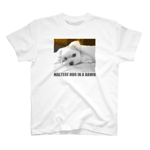  夜明けのマルチーズ （ Cute and cool puppy. ） スタンダードTシャツ