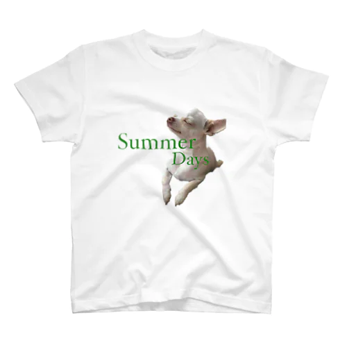 Summer Days Chihuahua スタンダードTシャツ