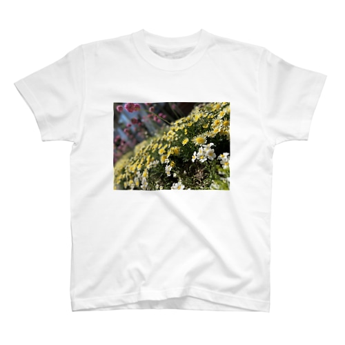 FLOWER Regular Fit T-Shirt