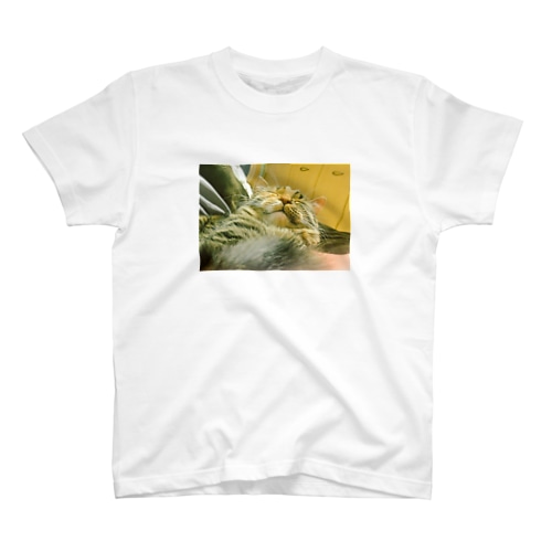 本気寝ねこ Regular Fit T-Shirt