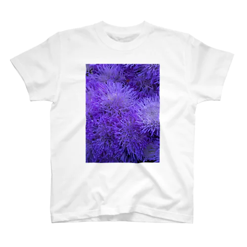 ふわふわ紫色の花 Regular Fit T-Shirt