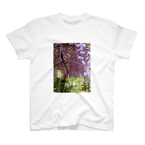 藤の花 Regular Fit T-Shirt