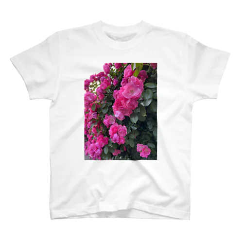 薔薇の壁 Regular Fit T-Shirt