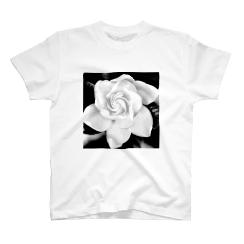 Gardenia スタンダードTシャツ