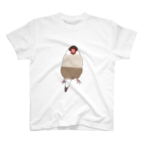 シナモン文鳥ちゃん スタンダードTシャツ