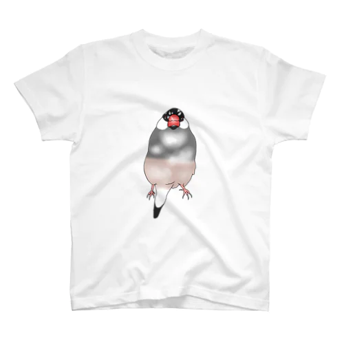 ごま塩文鳥ちゃん スタンダードTシャツ