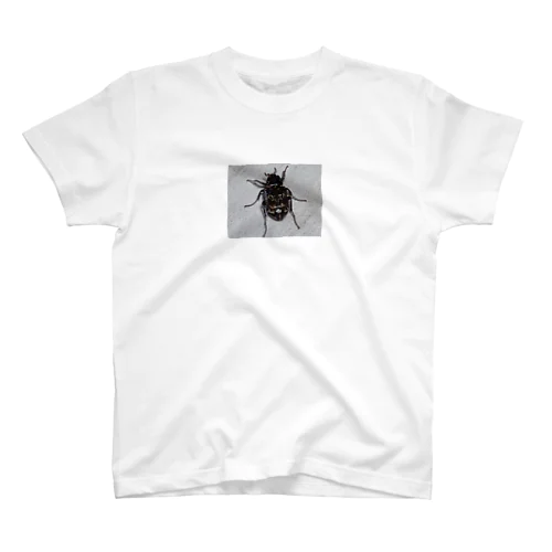 甲虫コレクション スタンダードTシャツ
