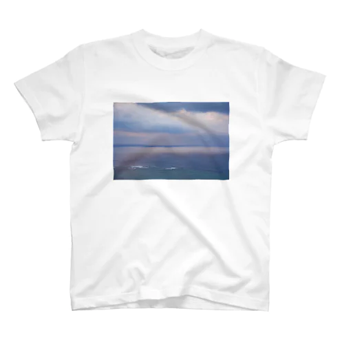The beauty of delicacy Regular Fit T-Shirt
