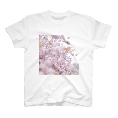 the last spring. スタンダードTシャツ