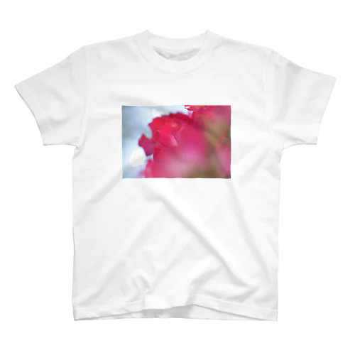 🌹 Regular Fit T-Shirt