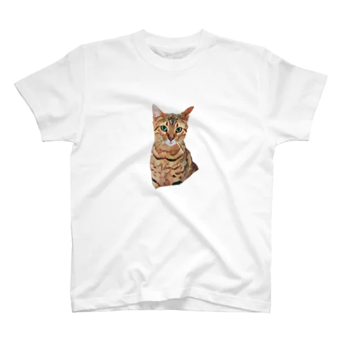 猫といっしょT Regular Fit T-Shirt