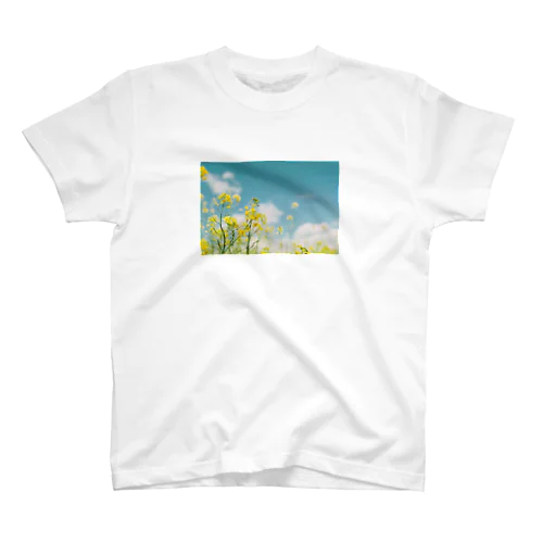 Rape blossoms スタンダードTシャツ