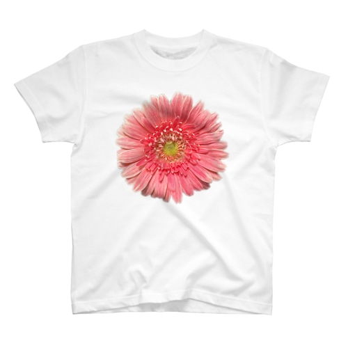 🙇‍♂️❤️【#004】Gerbera Single PINK（2022年6月4日）☆A3ランク Regular Fit T-Shirt