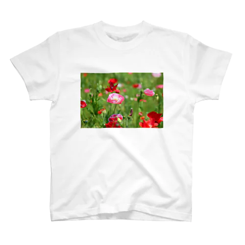 晴れた日、ポピーの花畑で スタンダードTシャツ