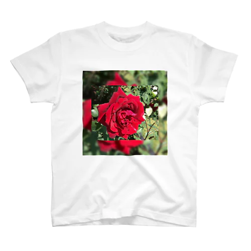 Rose スタンダードTシャツ