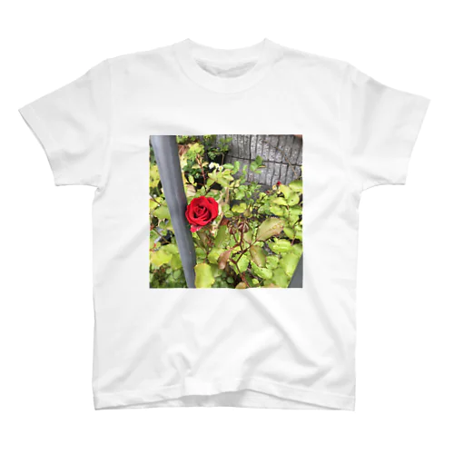 薔薇 スタンダードTシャツ