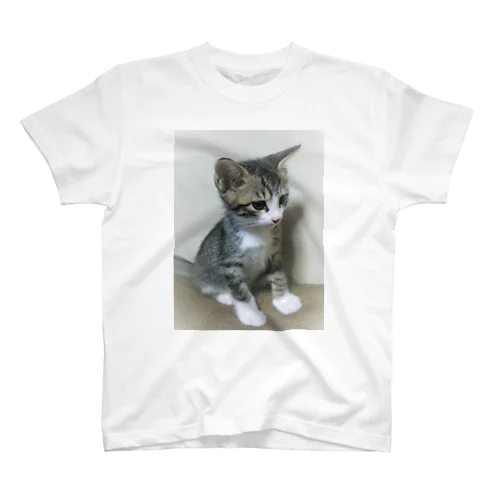 子猫の琥太郎 スタンダードTシャツ