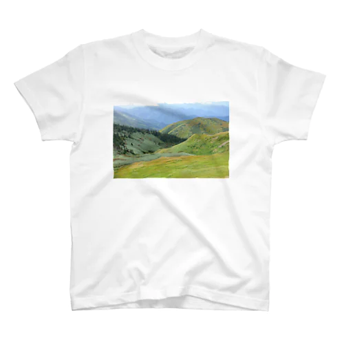 巻機山Ｔシャツ スタンダードTシャツ