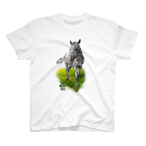 TOPS Regular Fit T-Shirt