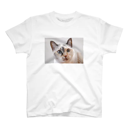 MIXねこ スタンダードTシャツ