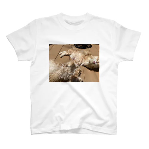 ポコ/ポコタイプT(猫) Regular Fit T-Shirt