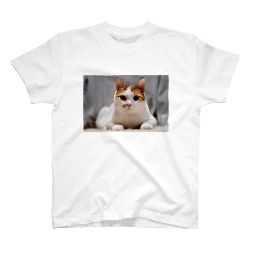 ねこたくん Regular Fit T-Shirt