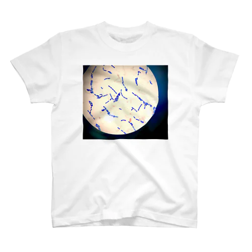 Yeast Micrograph Regular Fit T-Shirt