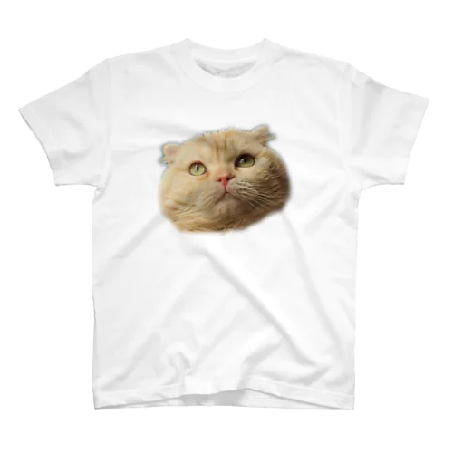 うちのねこはかわいい Regular Fit T-Shirt