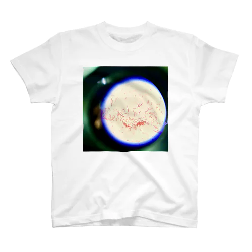 Gram-negative bacilli Micrograph スタンダードTシャツ