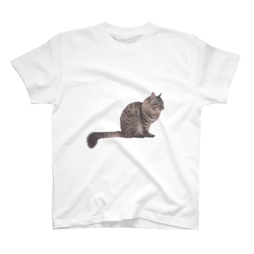 横向き猫尻尾下がり(実写) Regular Fit T-Shirt
