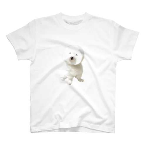 美容に目覚めた犬 Regular Fit T-Shirt