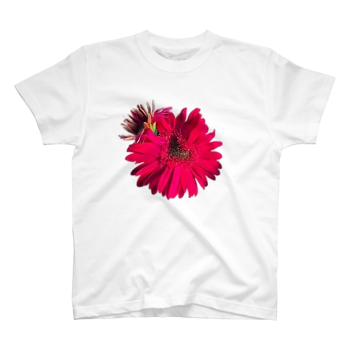 🙇‍♂️❤️【#015】Gerbera Single PINK（2022年6月11日）★★★S3ランク Regular Fit T-Shirt