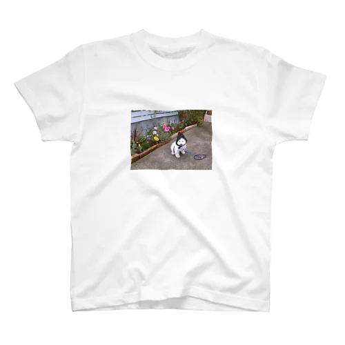 こびといぬちゃん Regular Fit T-Shirt