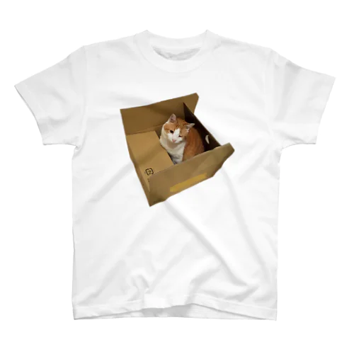 箱ねこボーちゃん Regular Fit T-Shirt