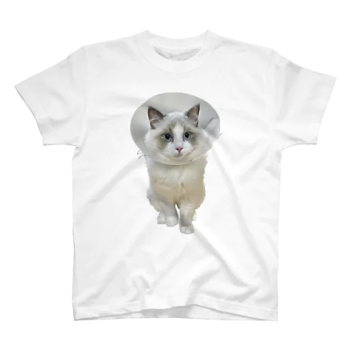 飼い猫のグッズ3 スタンダードTシャツ