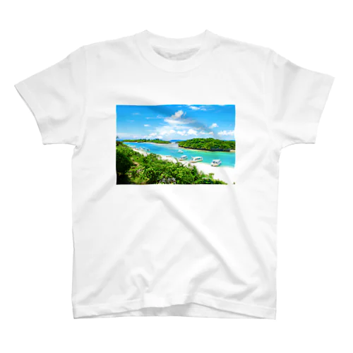 石垣島の絶景・川平湾 スタンダードTシャツ