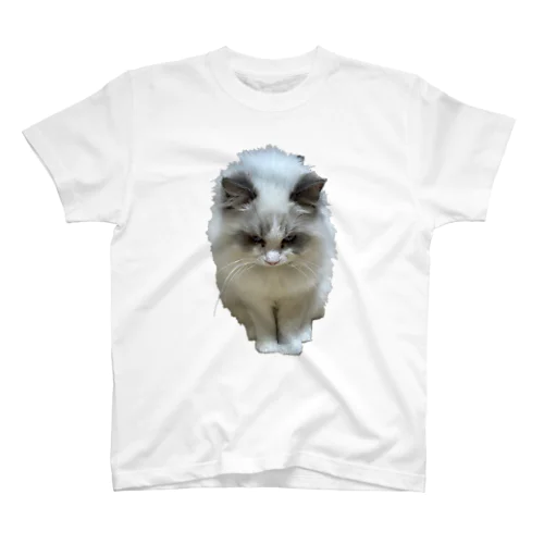 飼い猫のグッズ4 スタンダードTシャツ