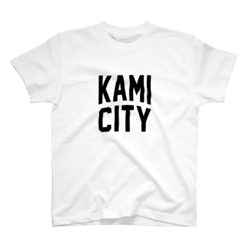 香美市 KAMI CITY スタンダードTシャツ
