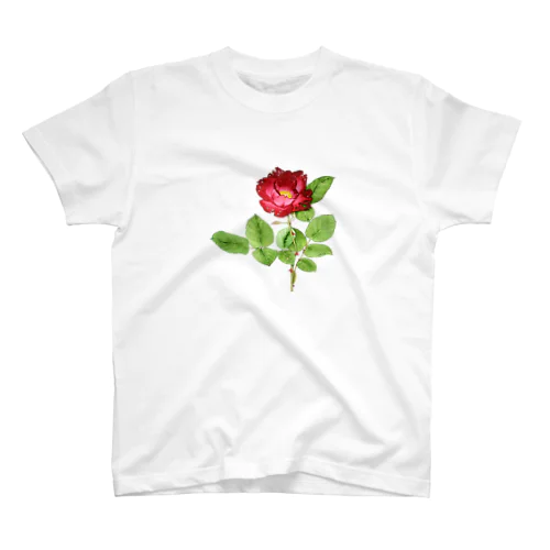 赤い薔薇 スタンダードTシャツ