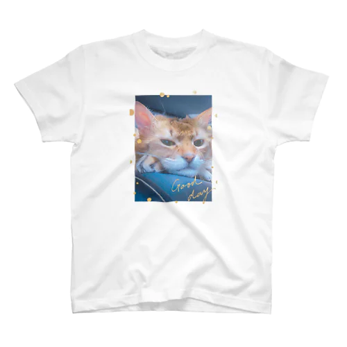 猫 スタンダードTシャツ