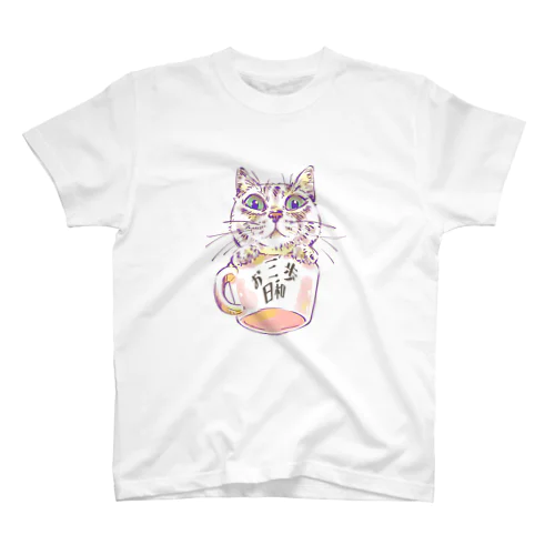 お三歩日和/見下ろしなっちゃん スタンダードTシャツ