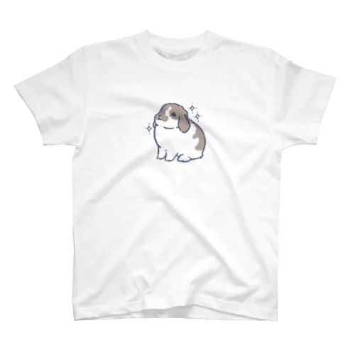 フフンL スタンダードTシャツ