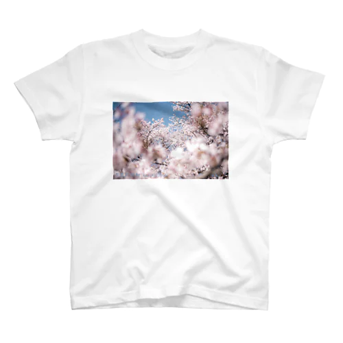 sakura Regular Fit T-Shirt