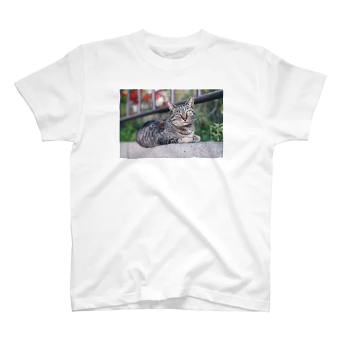 猫ちゃんシリーズ1 Regular Fit T-Shirt