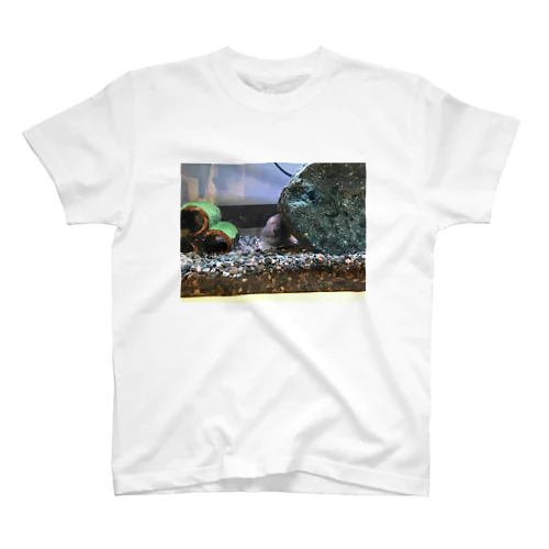 サカナちゃん Regular Fit T-Shirt