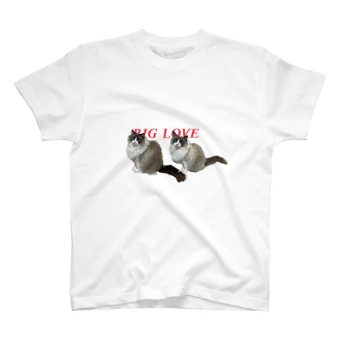 BIGLOVE Regular Fit T-Shirt