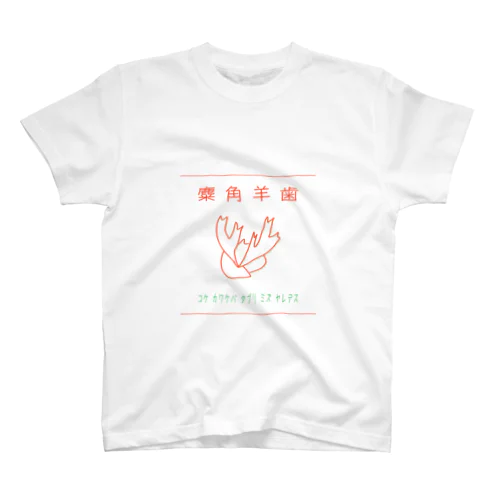 ビカクシダ育成T スタンダードTシャツ