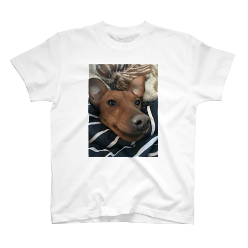 ムカつく犬の顔のTシャツ スタンダードTシャツ